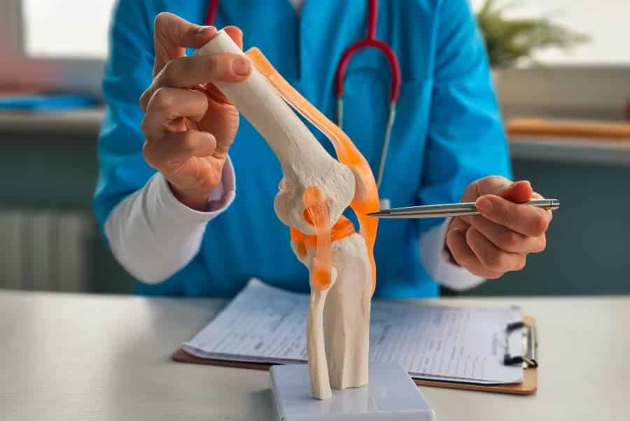 Physician points to cartilage on model of human knee